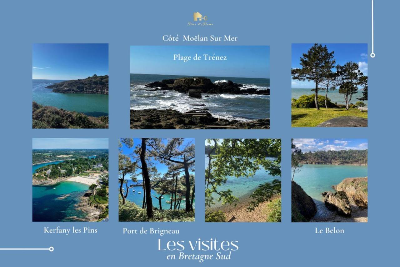 Le Tiguidou, Cosy, Lumineux, 2-6 Pers, Plage 300M Moëlan-sur-Mer Kültér fotó